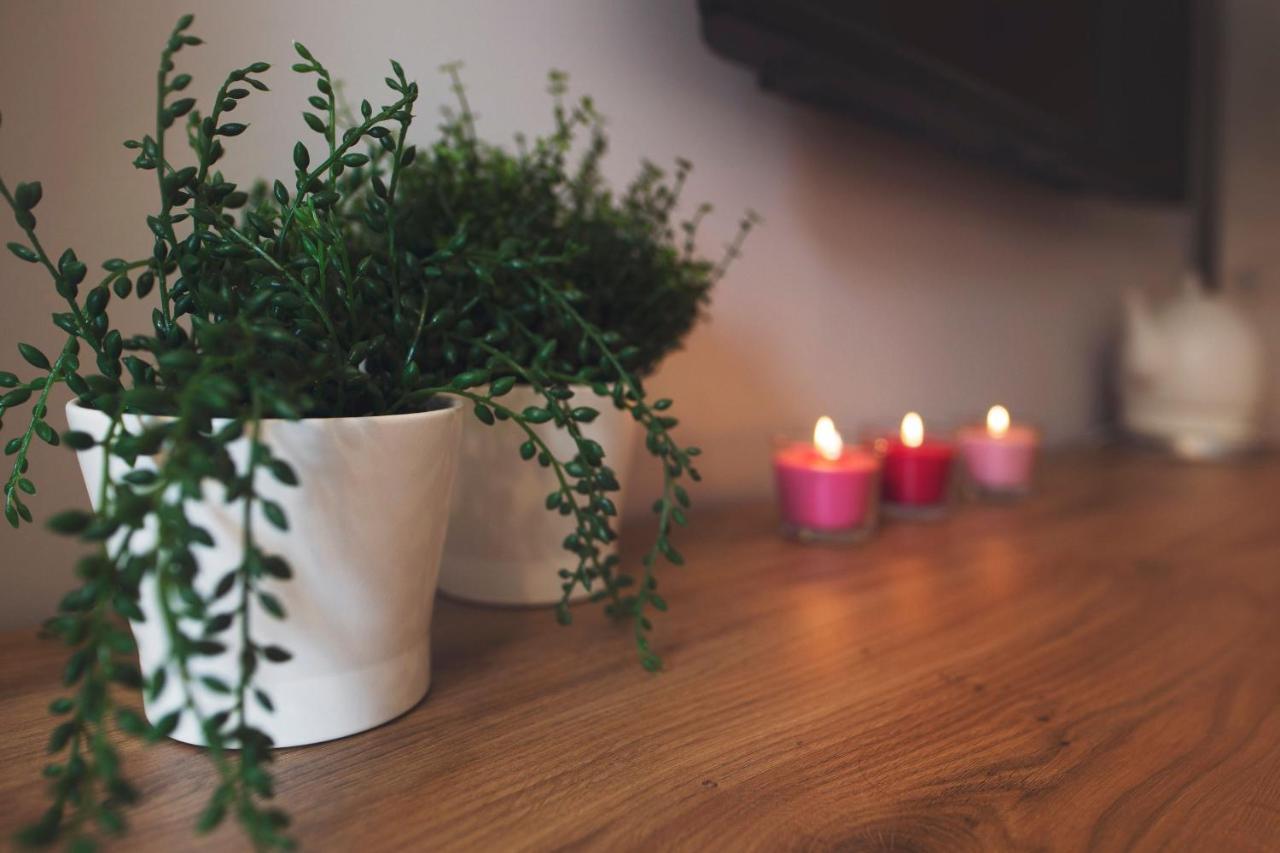 Apartamenty Willove Wzgorze Duszniki Zdroj Bagian luar foto